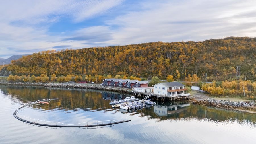 Traumanlage bei Tromsø: Amberfish! Traumanlage bei Tromsø: Amberfish!