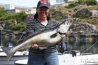 Carola Reiser hat mit leichten Gerät diesen tollen Pollack (7,3 kg / 93 cm) bezwungen